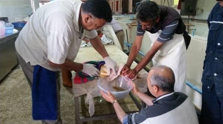 Elazığ&rsquo;da 5 Milyon Pullu Sazan &Uuml;retilecek