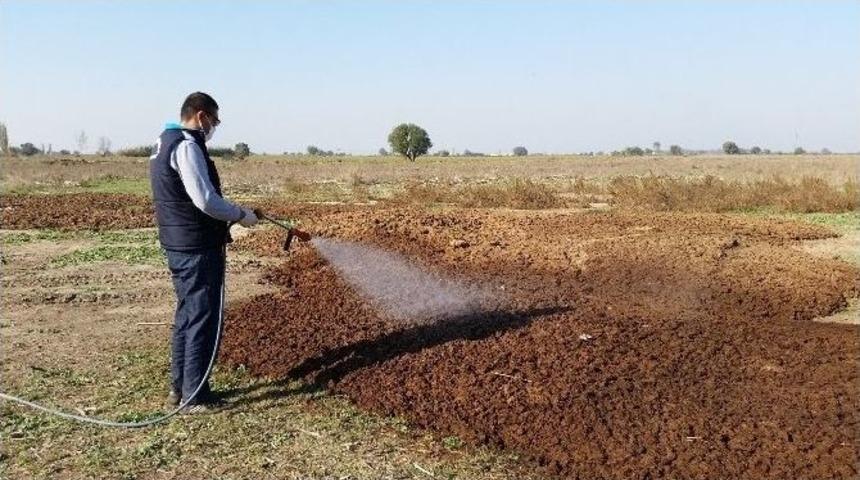 Akhisar&rsquo;da Haşereyle M&uuml;cadele Devam Ediyor