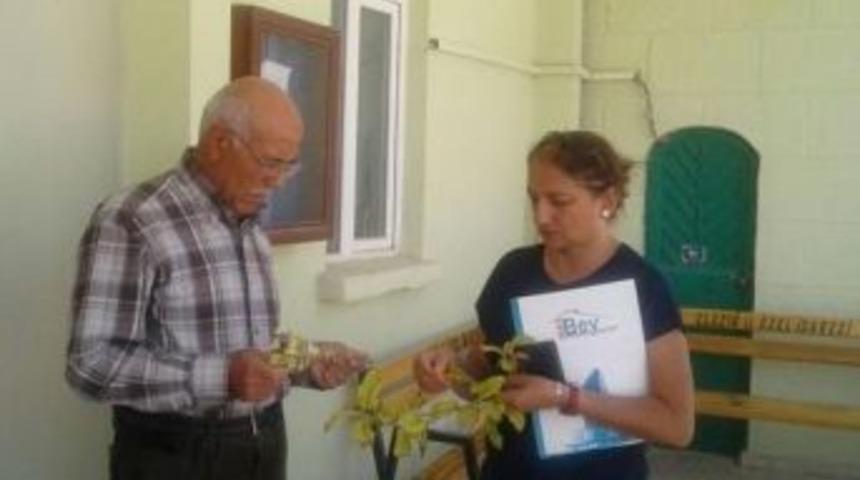 Elazığ&rsquo;da Toprak Analizi Ve Nitrat Fazlalığı Eğitimi