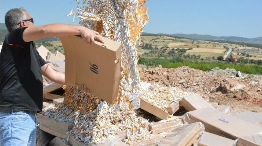 B&ouml;ylesi T&uuml;rkiye&rsquo;de İlk Defa Yakalandı