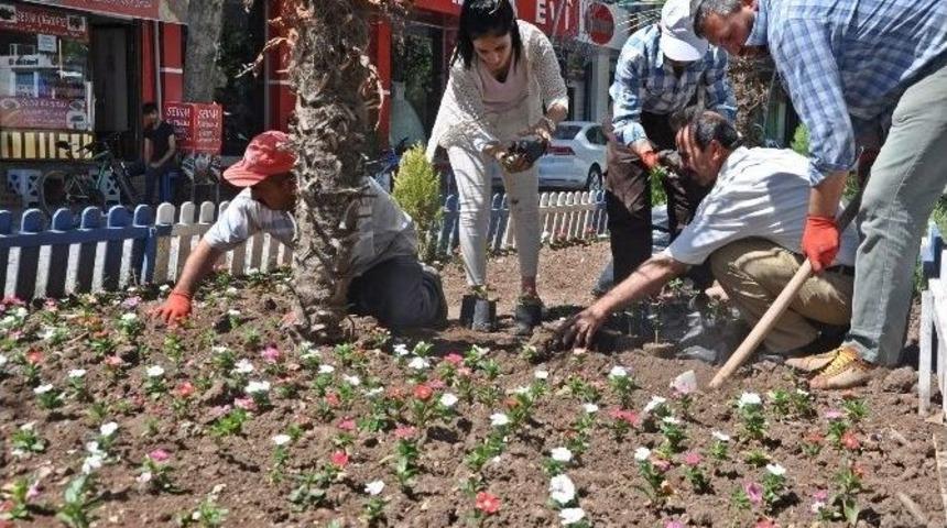 G&ouml;lbaşı &Ccedil;i&ccedil;eklerle S&uuml;sleniyor