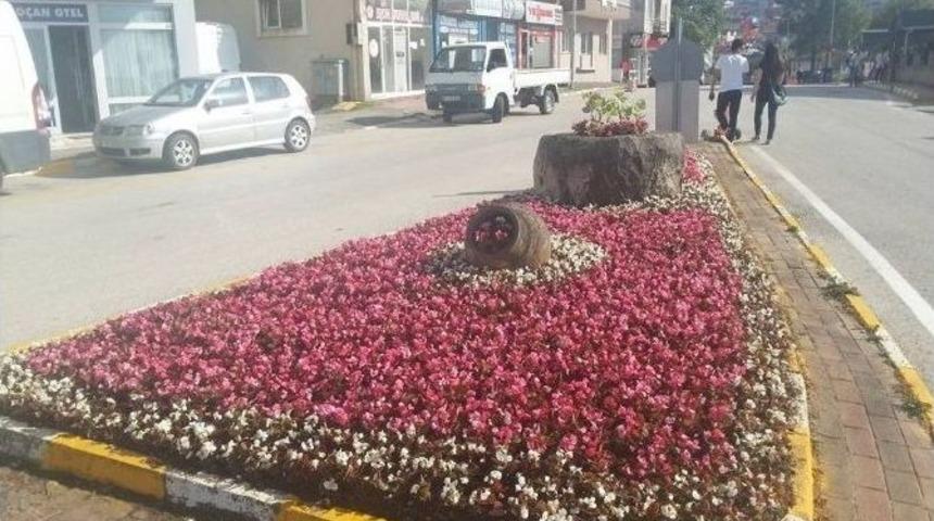 Ref&uuml;jlerde &Ccedil;i&ccedil;eklendirme &Ccedil;alışmaları Yapılıyor