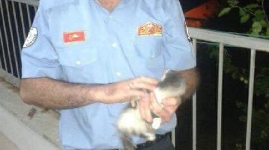 Su Borusuna Sıkışan Kediyi İtfaiye Kurtardı