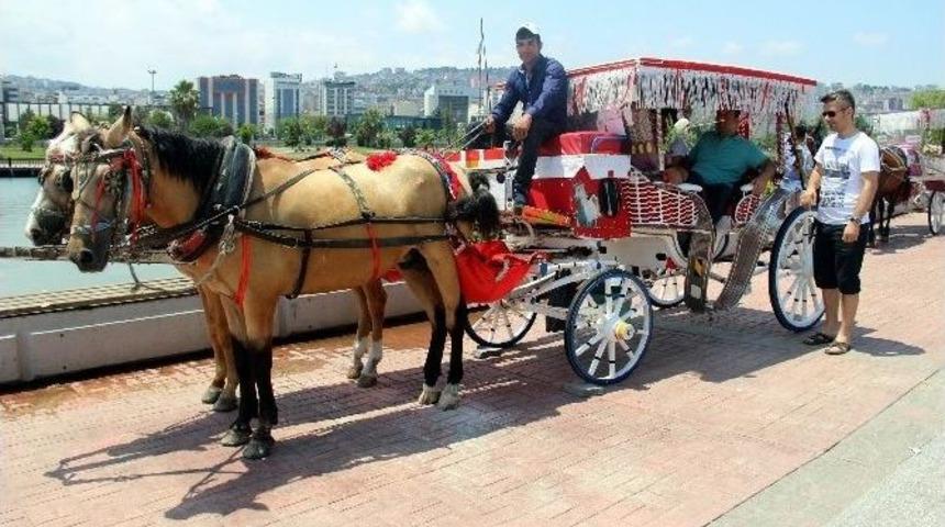 Samsun Sahilinde Nostaljik Gezi