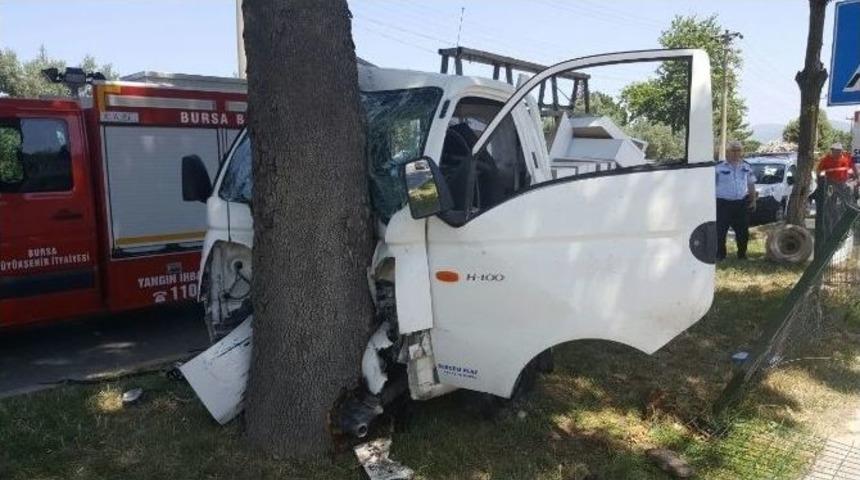 Kamyonet Ağaca &Ccedil;arptı: 3 Yaralı