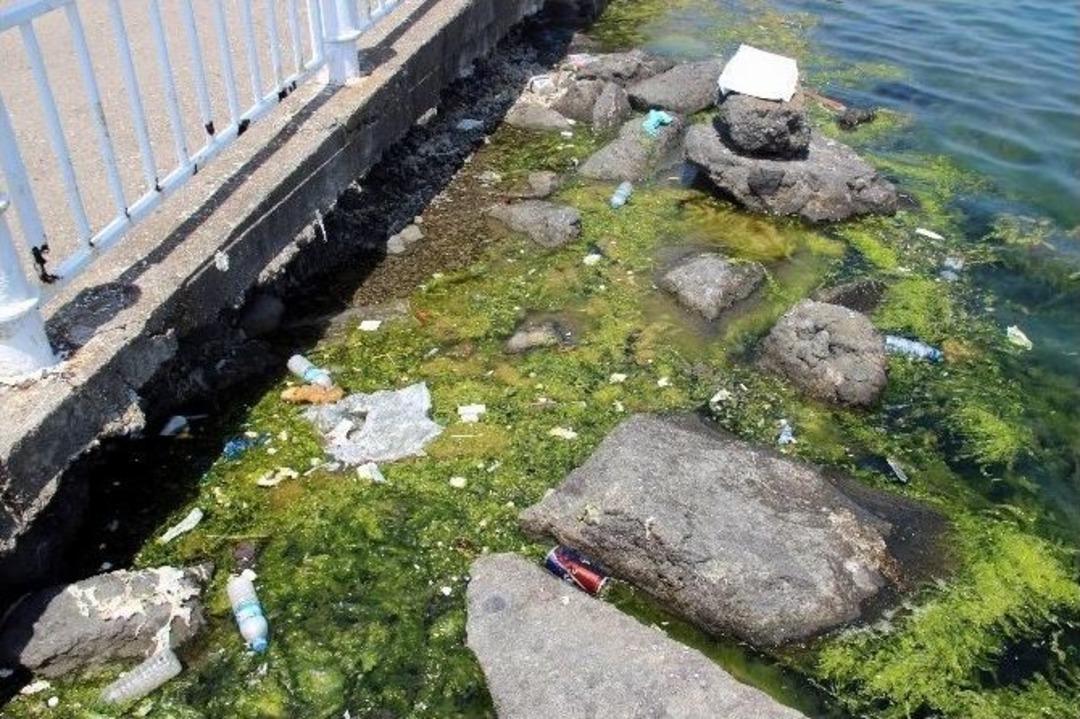 Duyarsız Vatandaş Kirletiyor