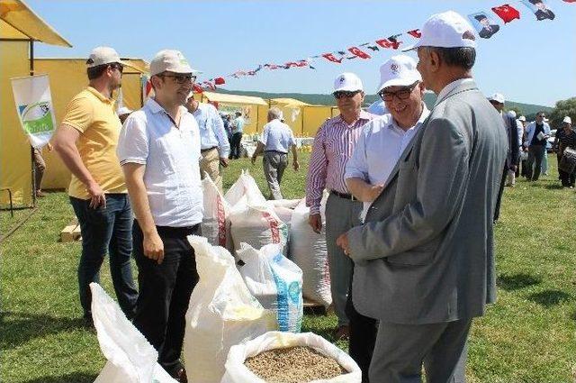 Tekirdağ’da Hasat Bayramı