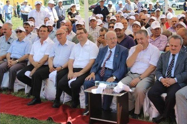 Tekirdağ’da Hasat Bayramı