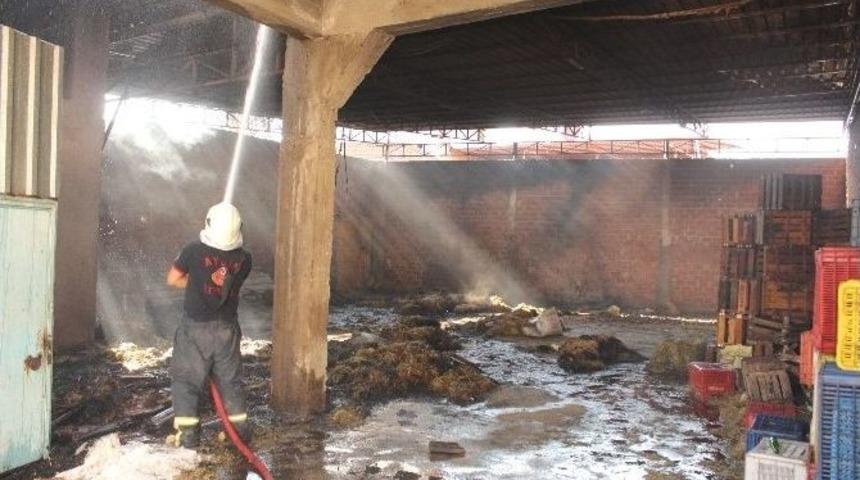 Nazilli&rsquo;de Yangın Paniği