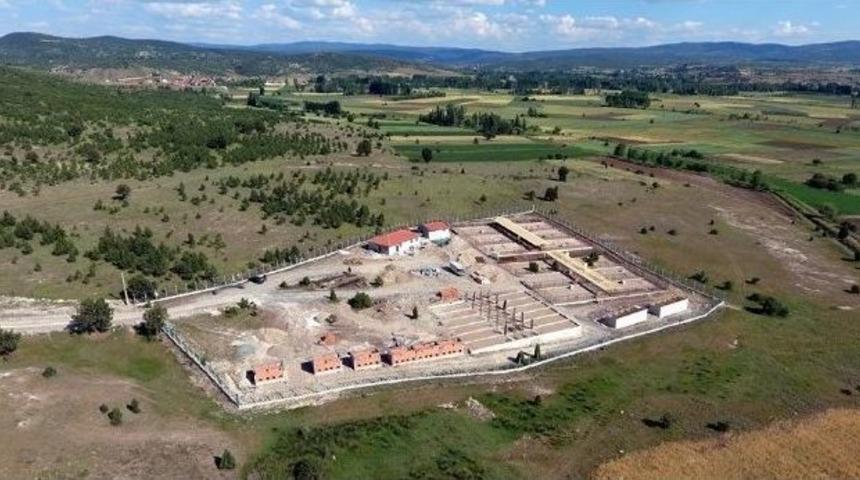 Tavşanlı&rsquo;ya Modern Hayvan Barınağı