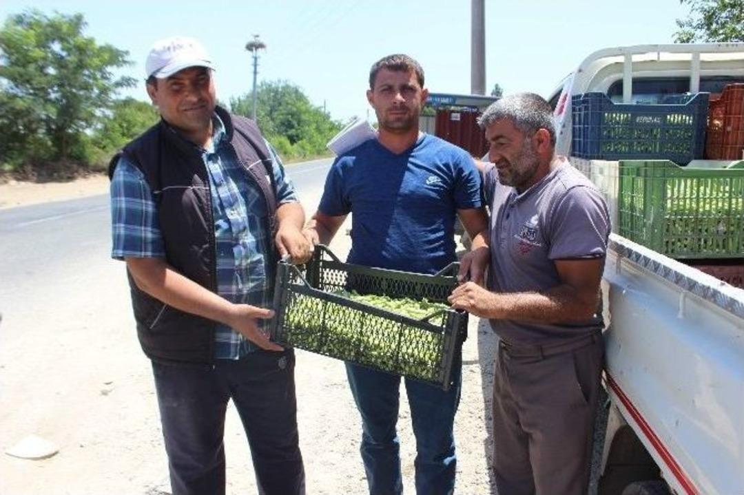 Fiyatı Y&uuml;zde 60 D&uuml;şen Bamya, &Uuml;reticisini Şok Etti