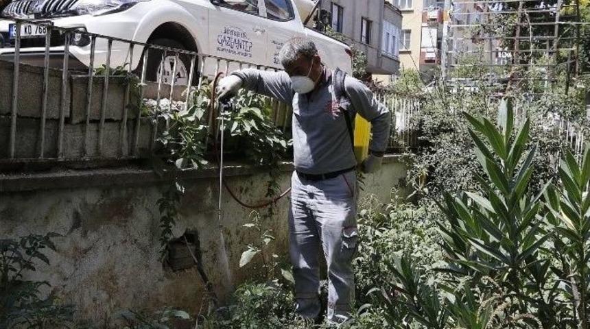 B&uuml;y&uuml;kşehir, 115 Personel İle İla&ccedil;lama &Ccedil;alışmalarını S&uuml;rd&uuml;r&uuml;yor