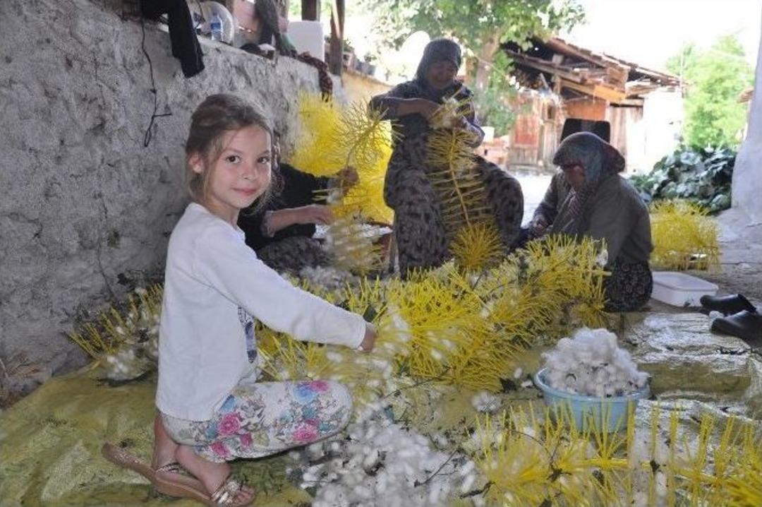 İpeğin Başkenti Bursa&rsquo;da İpekb&ouml;ceği Hasadı Renkli Başladı