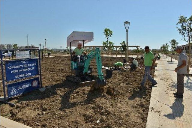 Konyaaltı’nda Park Duvarları Kaldırılıyor