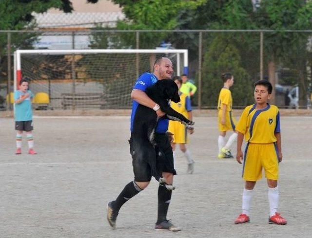 Futbol Turnuvasını Köpekler Bastı