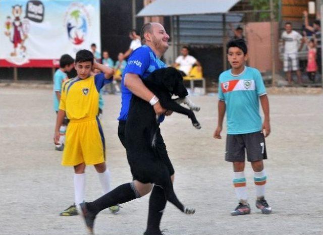 Futbol Turnuvasını Köpekler Bastı