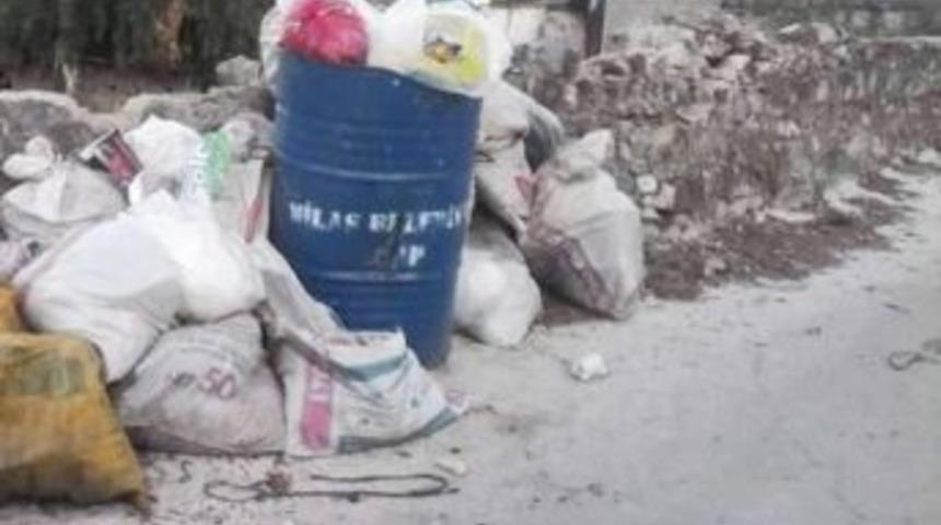 Milas&rsquo;ta &Ccedil;&ouml;plerin Toplanmaması Tepki Topladı