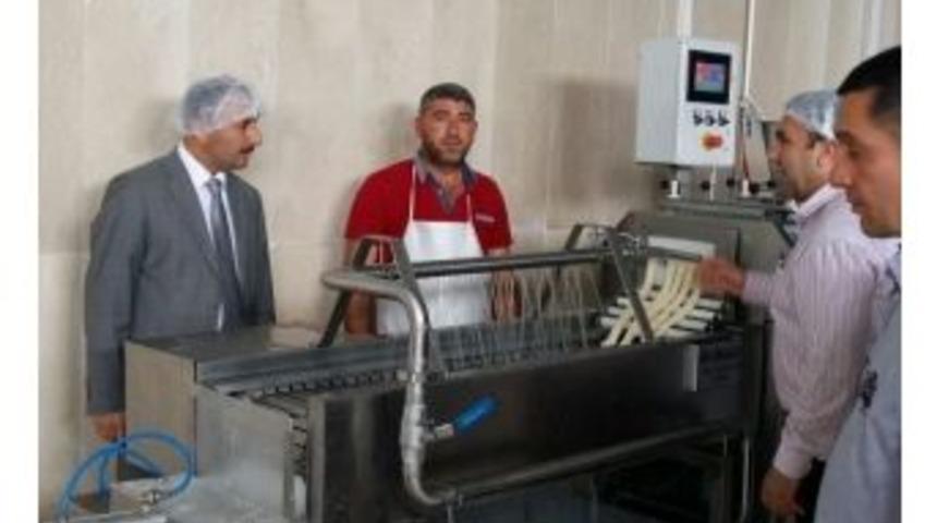 &Ccedil;olakoğlu, S&uuml;t İşletmelerini İnceledi