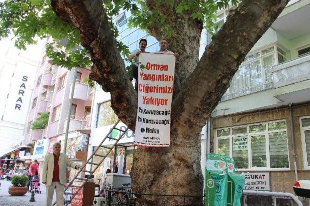 200 Yıllık Koca &Ccedil;ınarın Dalına &Ccedil;ıkarak Orman Yangınlarına Dikkat &Ccedil;ekti