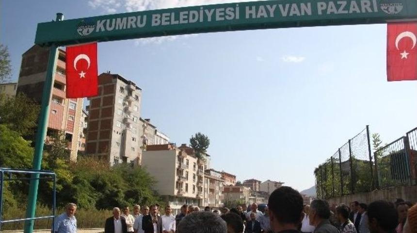 Kumru&rsquo;da Hayvan Pazarı Kuruldu