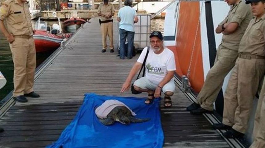 Caretta Deniz Kaplumbağasını Sahil G&uuml;venlik Kurtardı