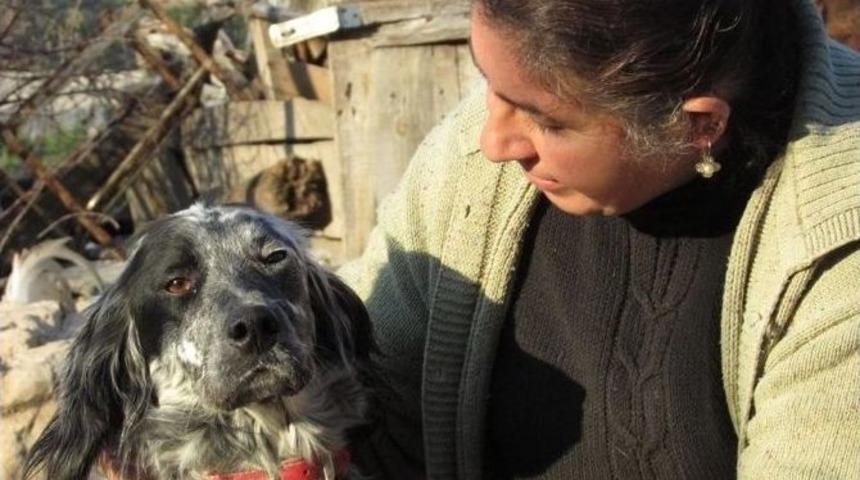 K&ouml;peği &Ccedil;alınan Kadın, Hayvanseverlerden Destek Bekliyor