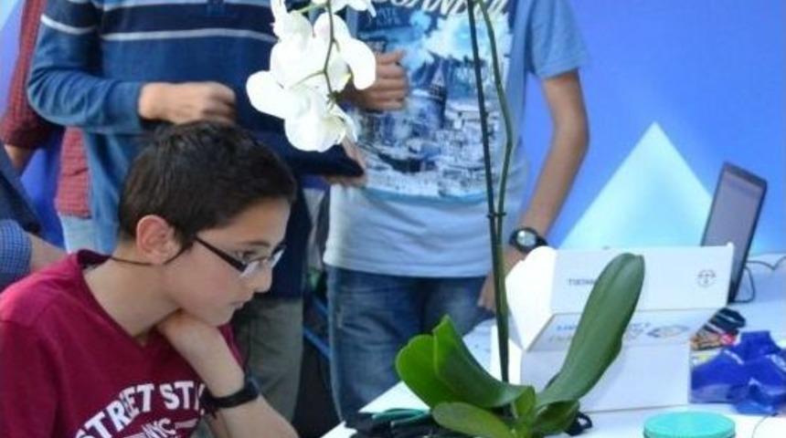 Kendi Kendini Sulayan Orkide