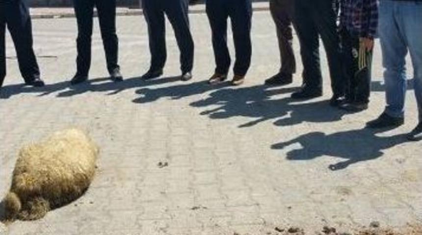 Yeşiltepe Beldesi&rsquo;nde Kilitli Taş &Ccedil;alışması