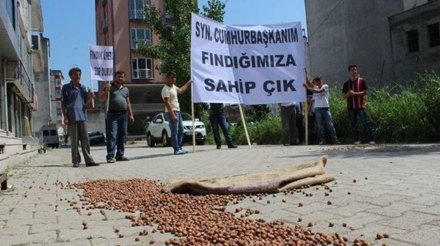 &Uuml;reticilerden Fındık Protestosu