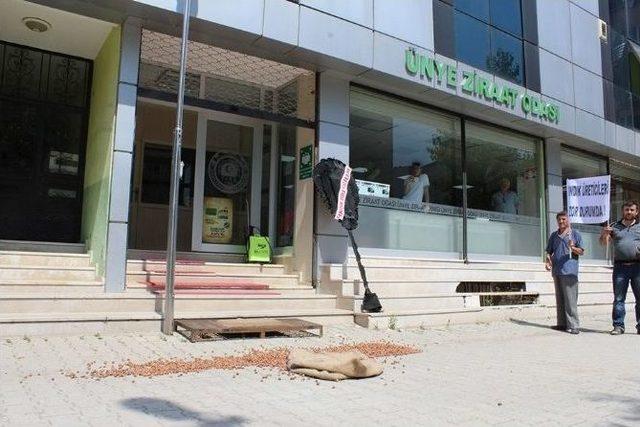 &Uuml;reticilerden Fındık Protestosu 2