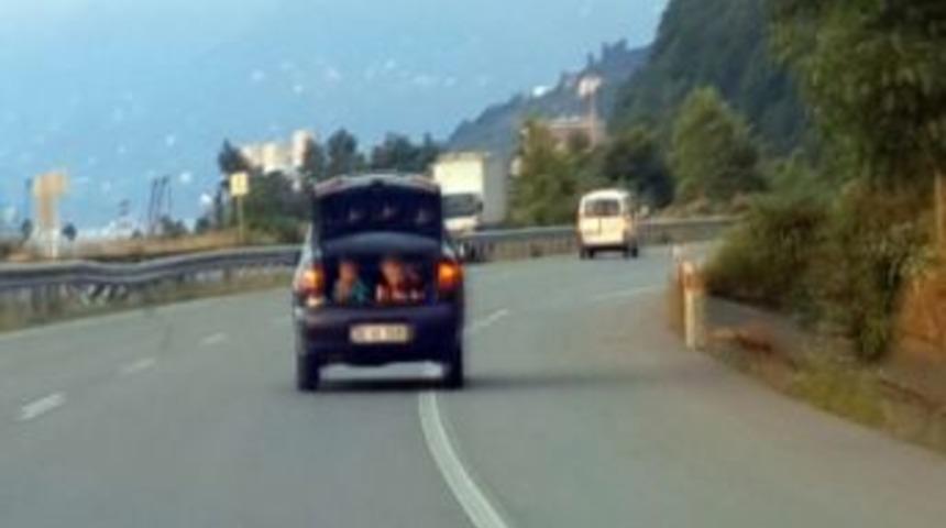 &Ccedil;ocukların Bagajdaki Yoluculuğu G&ouml;renleri Hayrete D&uuml;ş&uuml;rd&uuml;