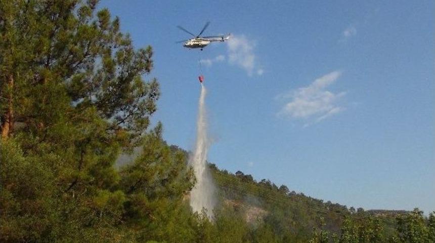 Dünyaca Meşhur Kayacı Vadisi’nde Orman Yangını