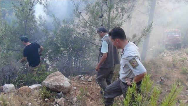 Dünyaca Meşhur Kayacı Vadisi’nde Orman Yangını