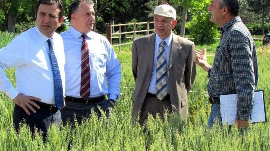 Tarsim Aydınlı &Uuml;reticinin Faaliyetlerini Yerinde İnceledi