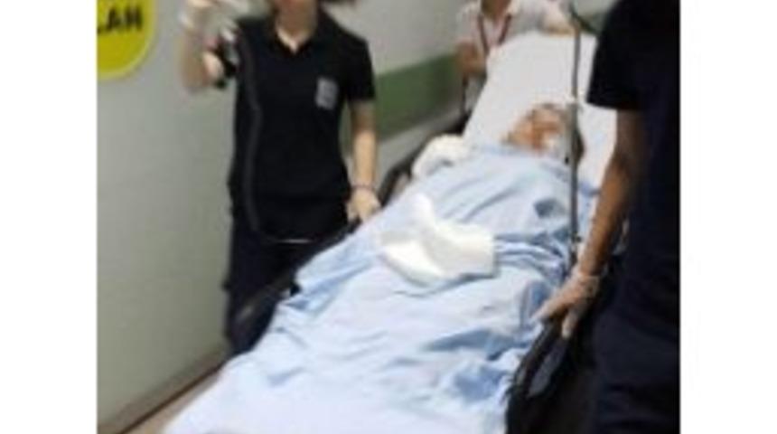 Kendi Beslediği K&ouml;pek Tarafından Isırıldı