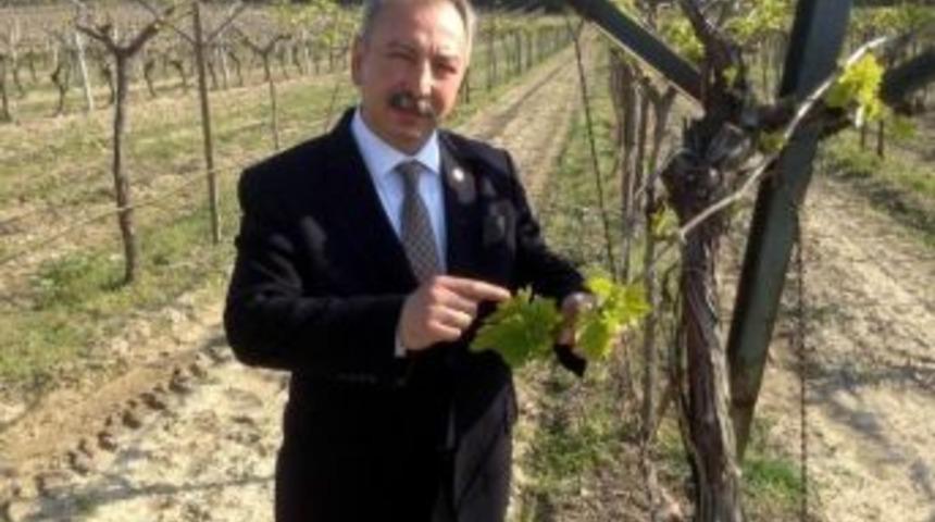 "&uuml;z&uuml;mde G&uuml;neş Yanığı Tarsim Kapsamına Alınmalı"