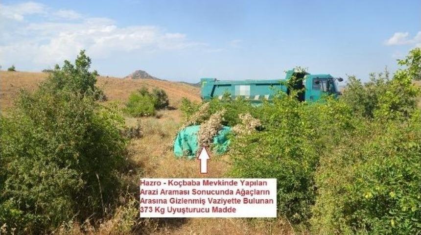 Ağa&ccedil;ların Arasına Gizlenmiş 373 Kilogram Esrar Bulundu