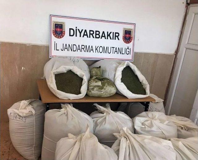 Ağaçların Arasına Gizlenmiş 373 Kilogram Esrar Bulundu