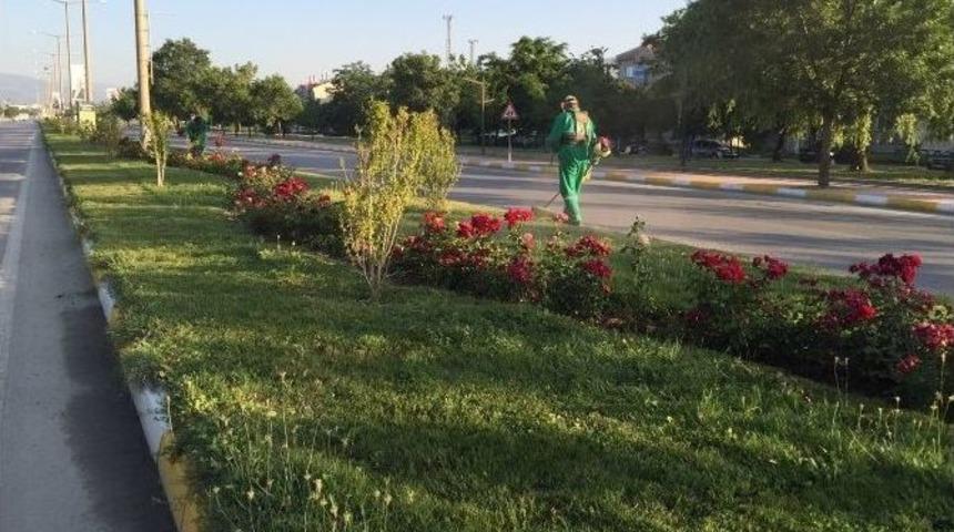 Başkan Başsoy Yürütülen Çalışmaları Yerinde İnceledi