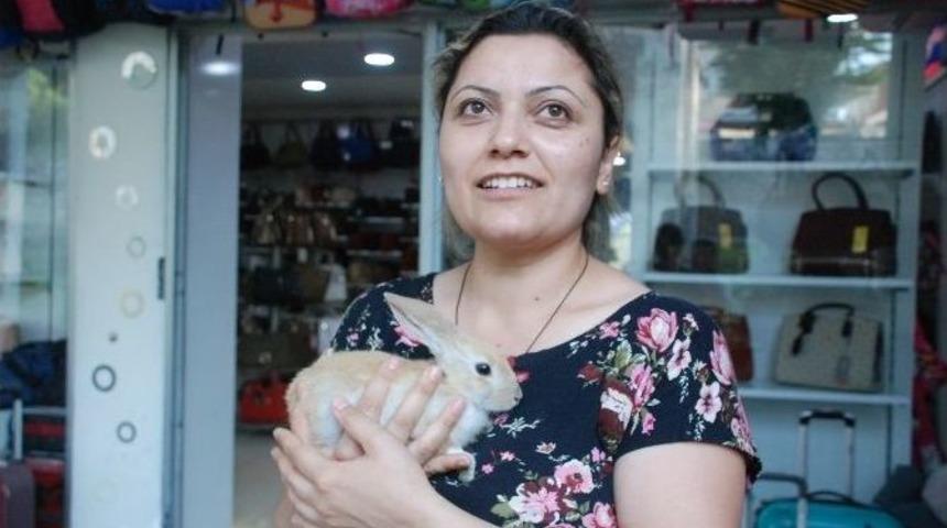 Kayıp Tavşan &Ccedil;&ouml;p Bidonunda Bulundu