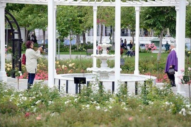 Kültürpark Gülbahçe’de Güllerin Ahengi