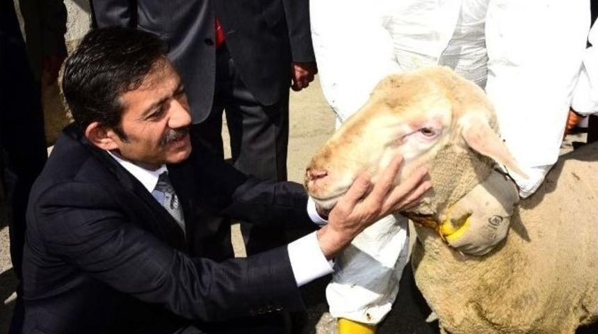 Kastamonu&rsquo;da Ko&ccedil; Dağıtım T&ouml;reni D&uuml;zenlendi