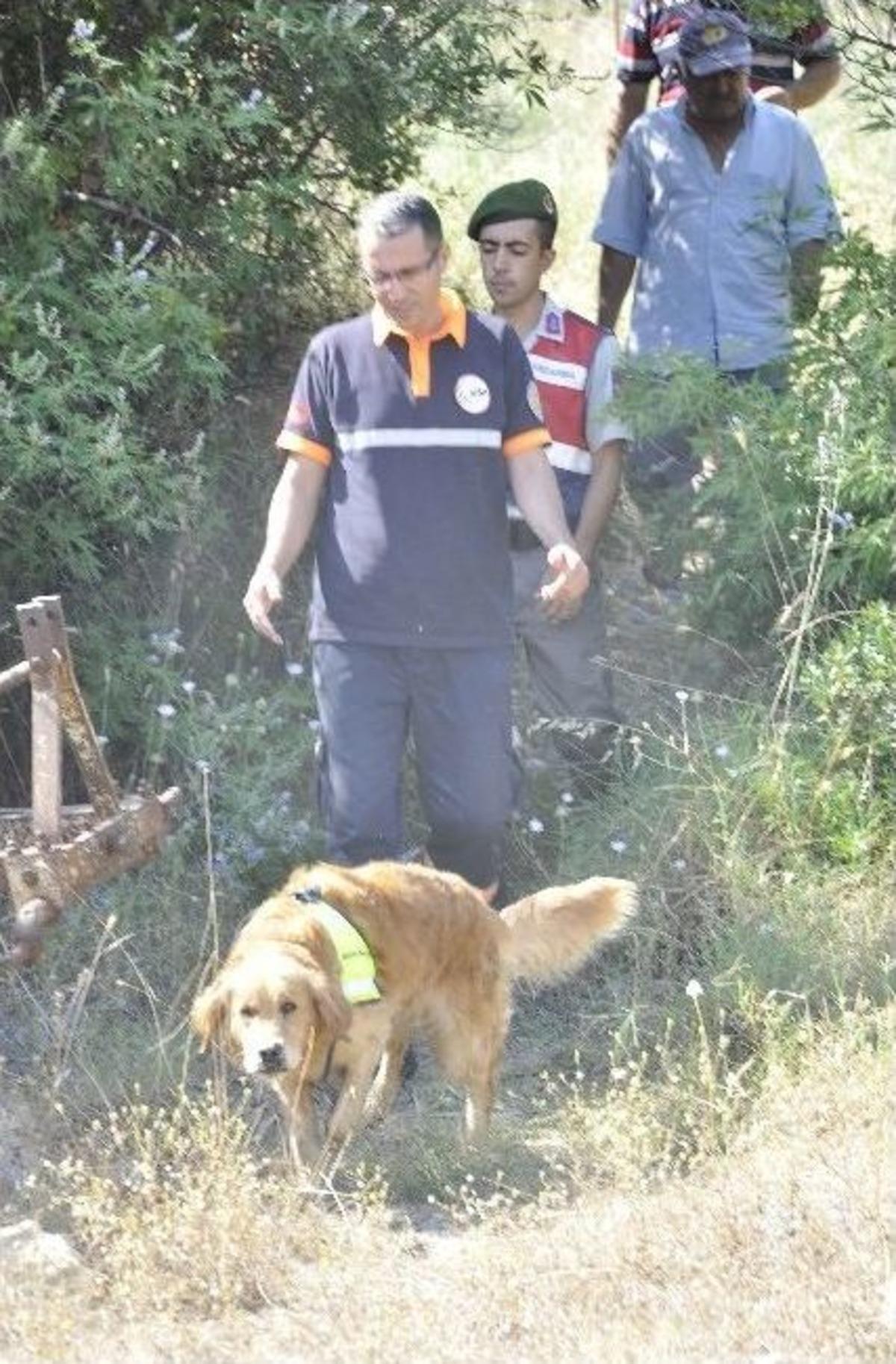 Jandarma Ve Afad 88 Yaşındaki G&uuml;ls&uuml;m Nineyi Arıyor