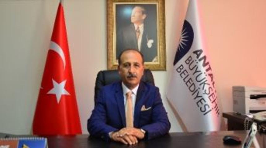 Ilıca Deresindeki Balık &Ouml;l&uuml;mleri