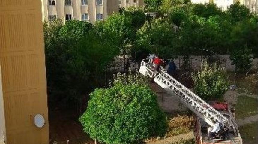 Yavru Karga İ&ccedil;in Seferber Oldular