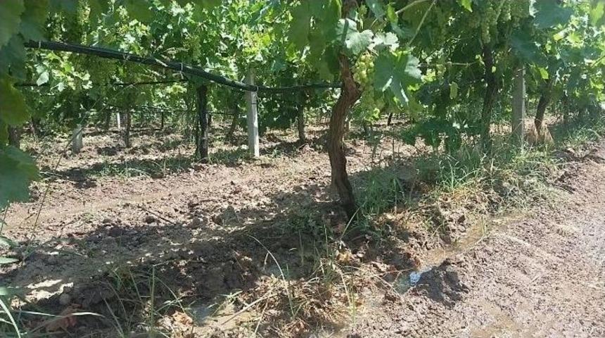 G&ouml;kkaya B&uuml;y&uuml;kşehirle Sulanıyor