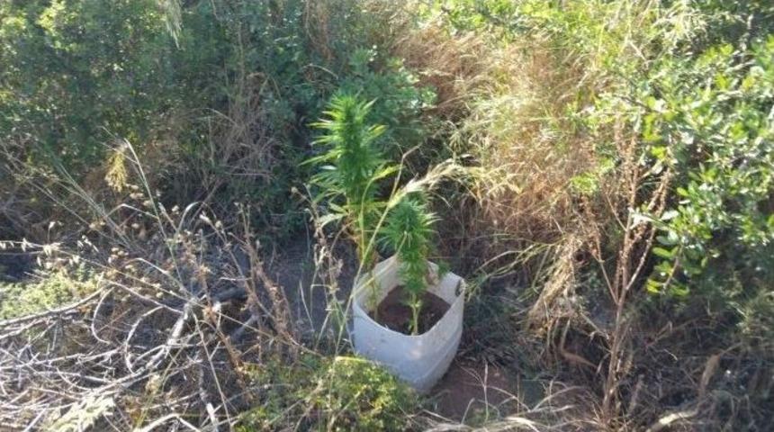 Aliağa&rsquo;da &Ccedil;ifte Uyuşturucu Operasyonuyla Zehir Tacirlerine Darbe
