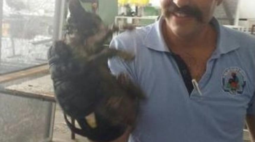 Su Borusuna Sıkışan Kediyi İtfaiye Kurtardı