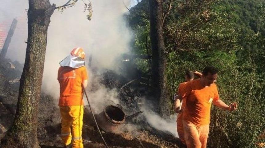 Konserve Yaparken &Ccedil;ıkan Yangında 3 Hektarlık Alan K&uuml;l Oldu