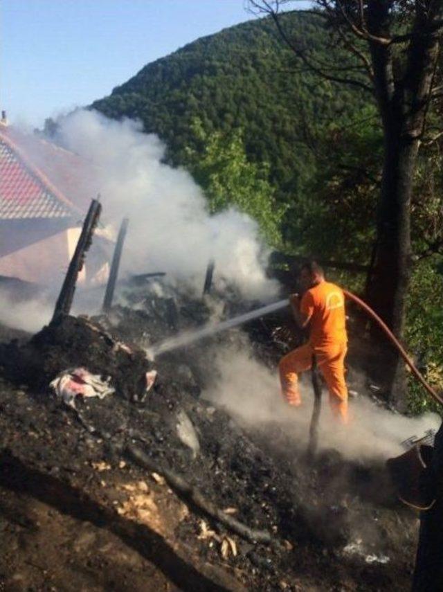 Konserve Yaparken Çıkan Yangında 3 Hektarlık Alan Kül Oldu